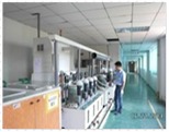 Development line in a clean room