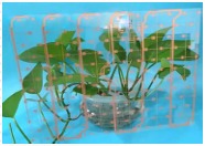 Glass-substrate PCB