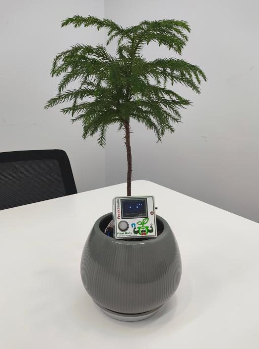A small potted pine tree in a grey ceramic pot on a white office table, with a square device clipped into the pot rim