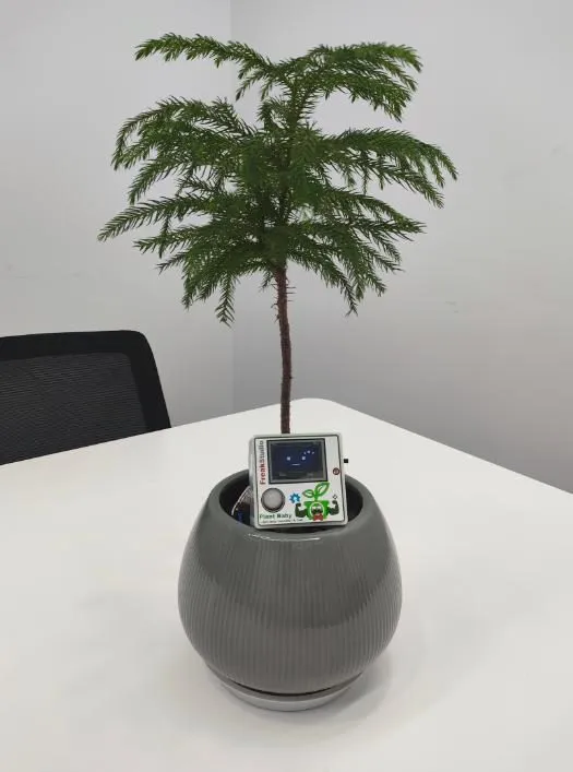 A small potted pine tree in a grey ceramic pot on a white office table, with a square device clipped into the pot rim