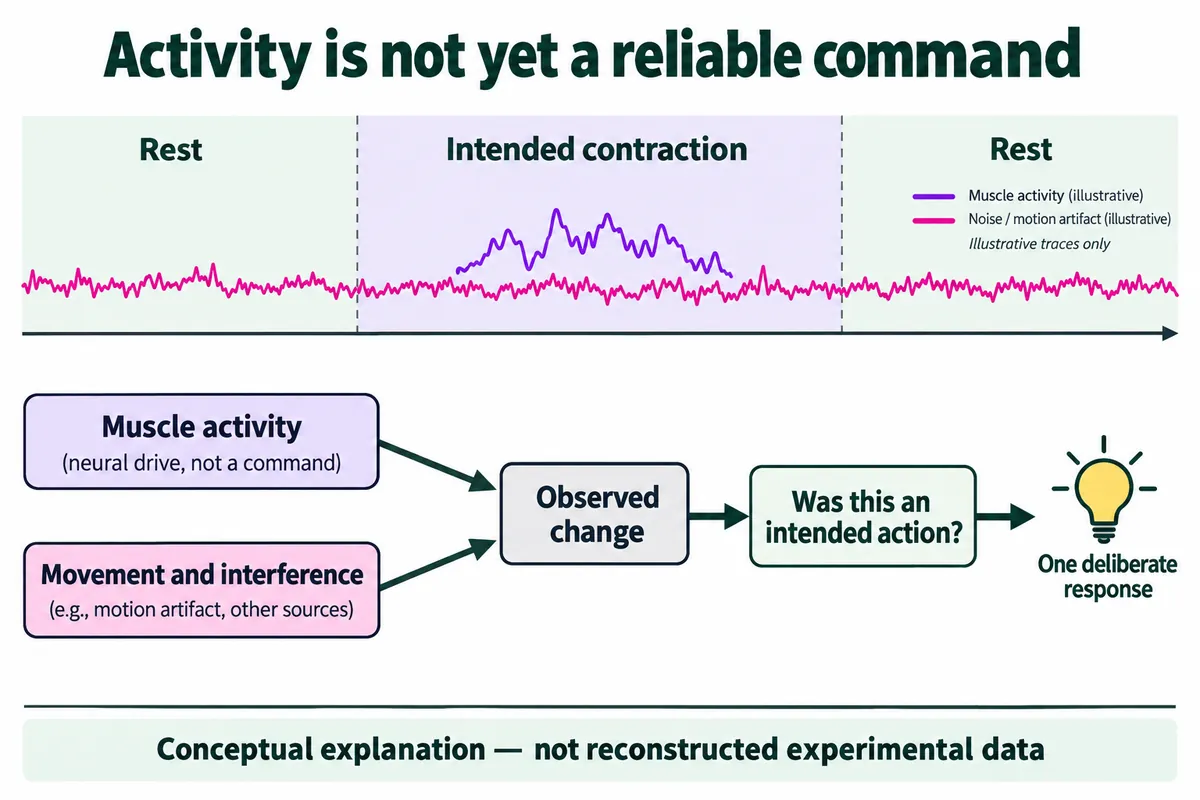 Illustration: rest, intended contraction, rest, with muscle activity and motion artifact both feeding an observed change before deciding whether it was an intended action