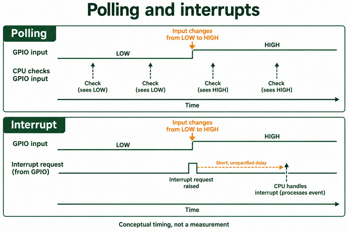 Timing comparison: polling checks the input at intervals, while an interrupt request is raised on the change and handled after a short, unspecified delay