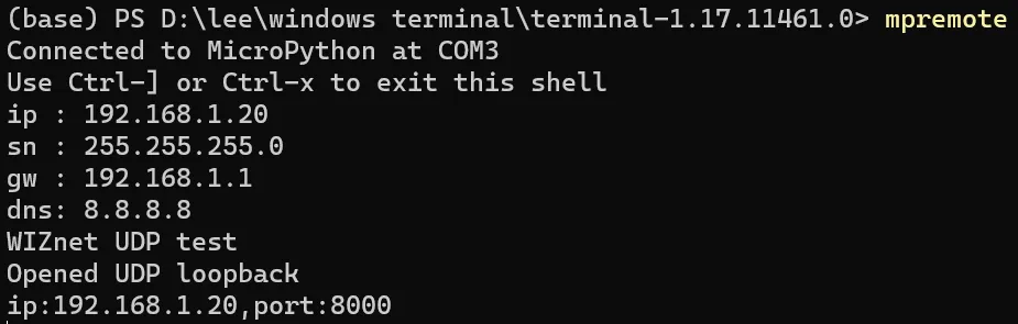 Terminal output from the board: IP 192.168.1.20, mask, gateway, DNS 8.8.8.8, then UDP loopback opened on port 8000