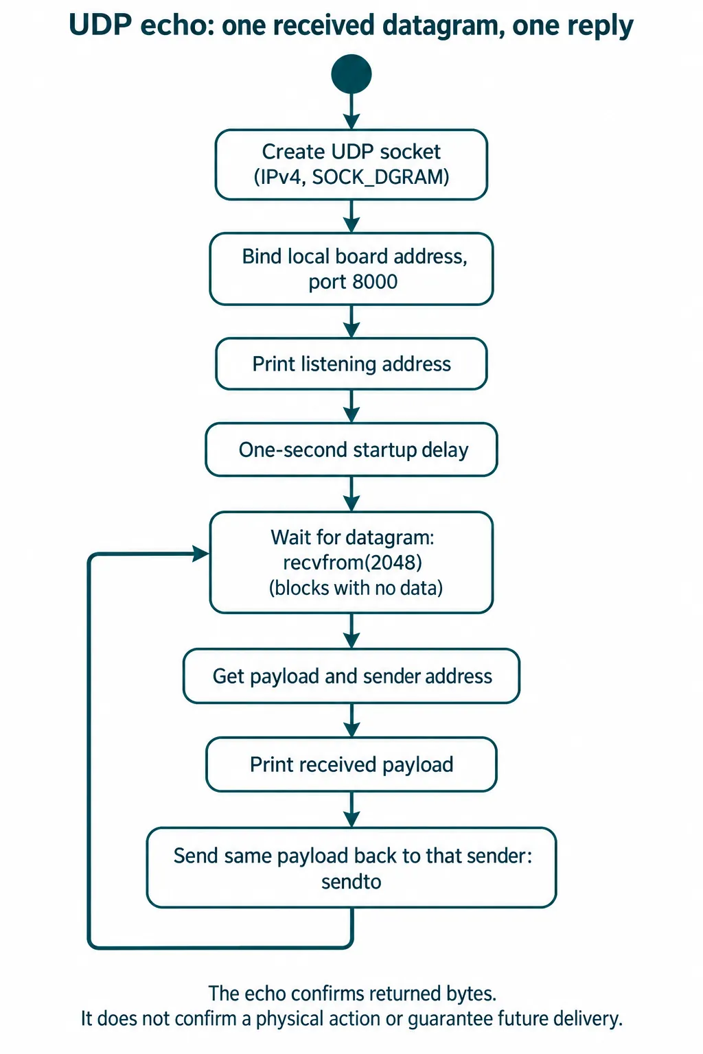 Flowchart of the UDP echo loop: create socket, bind port 8000, wait in recvfrom, print the payload, send it back to the sender