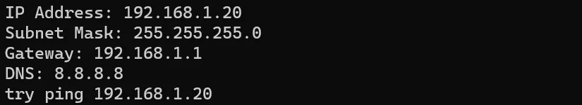 Terminal output listing IP address 192.168.1.20, subnet mask 255.255.255.0, gateway 192.168.1.1, DNS 8.8.8.8, and a prompt to ping the board